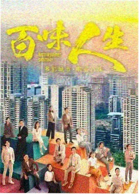 听见你的回声剧集在线播放